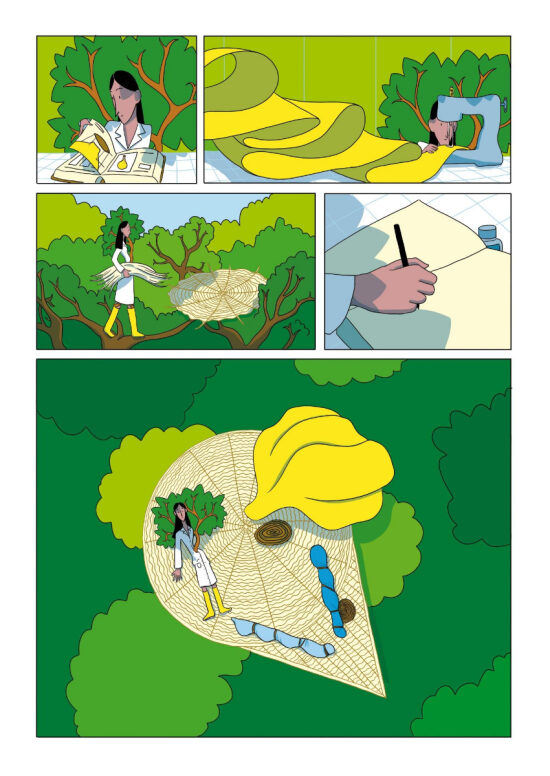 L'exploration de Viridiplantaé