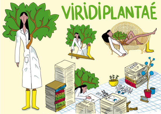Viridiplantaé - Character design